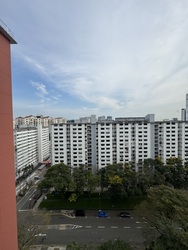 Blk 161 Mei Ling Vista (Queenstown), HDB 4 Rooms #553973071
